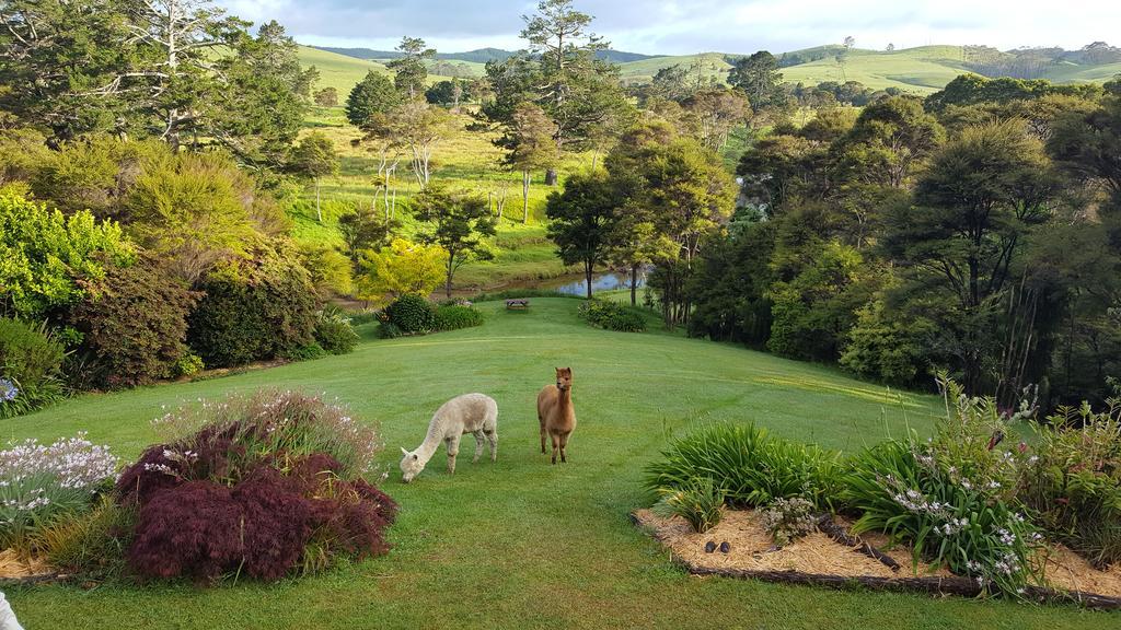 Morepork Riverside Lodge Paihia Exterior photo